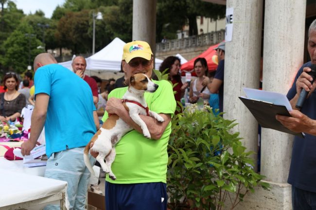 stramacerata 2016 gara canina secondo adelmo tombesi con maya foto ap