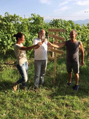 Brindisi con Verdicchio nell'azienda Socci