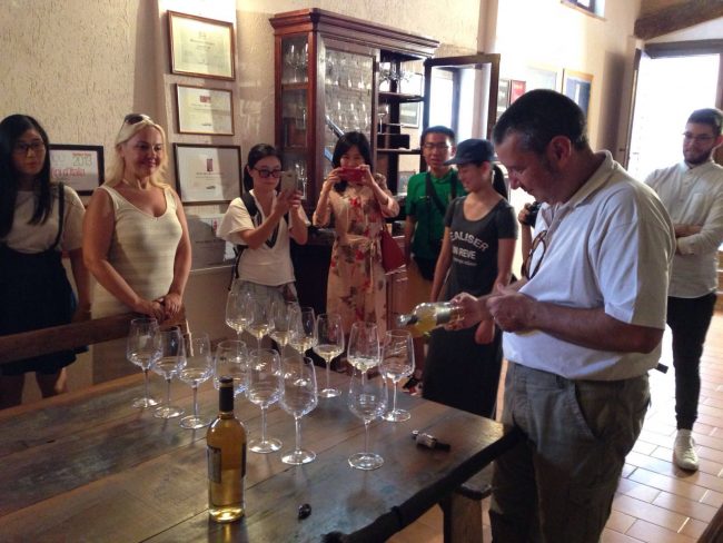 SummerSchool_ARTS_02_Matelica