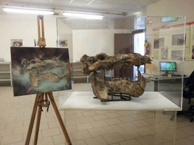 Museo Paleontologico a Serravalle