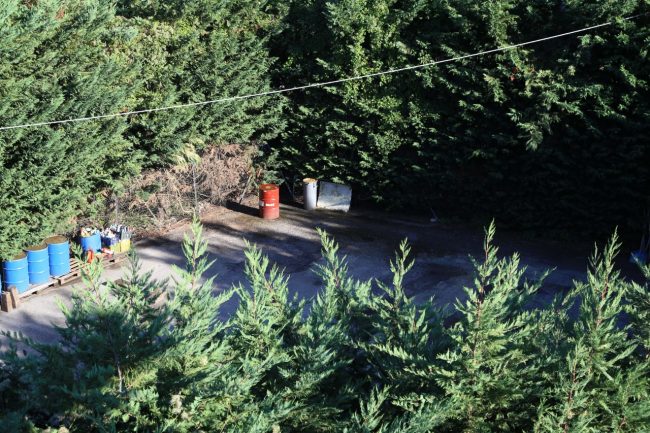 isola ecologica chiusa a piediripa foto ap (1)