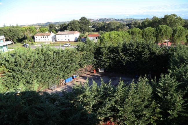 isola ecologica chiusa a piediripa foto ap (2)