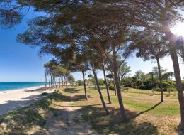 La comunità senegalese  ripulisce la spiaggia:  «Solidarietà e integrazione»