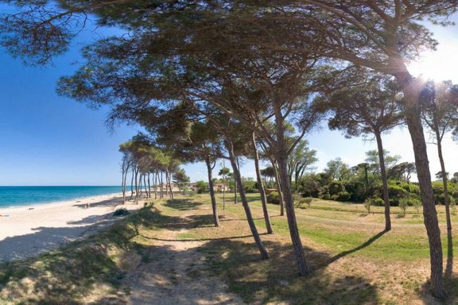 pineta-porto-recanati-3-650x433