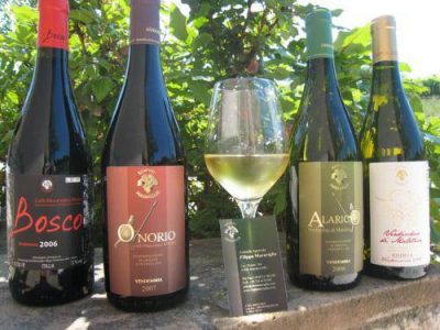 azienda maraviglia