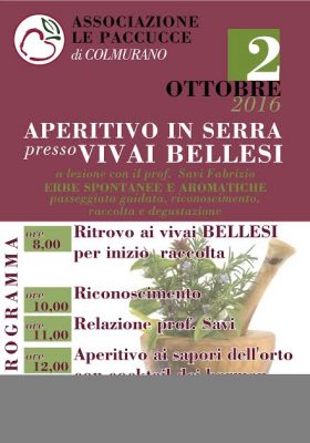 aperitivo-in-serra