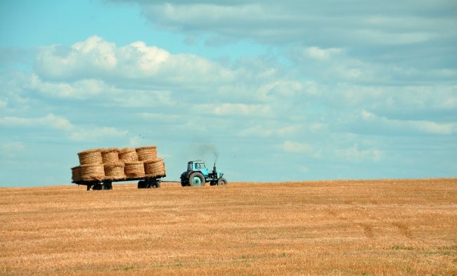 agricoltura