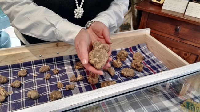 fiera-tartufo-bianco-acqualagna-2015-21-1024x575-650x365
