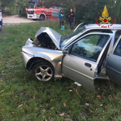 La Ford Fiesta è finita contro una pianta