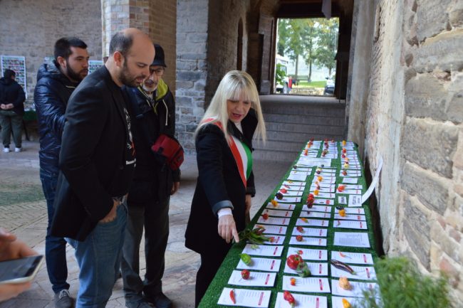 mostra-micologica-5