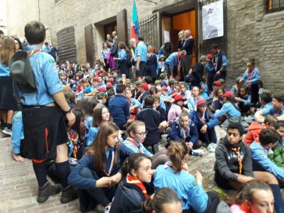 scout-4