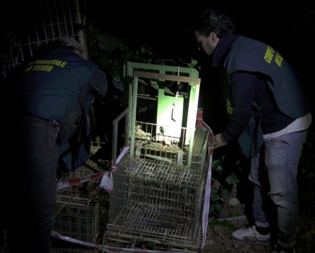Il sequestro delle trappole