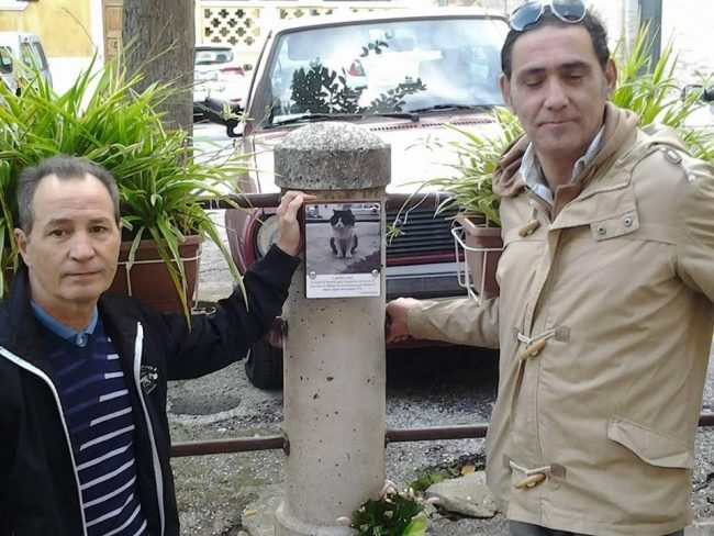 targa-gatto-brontolo-recanati-3