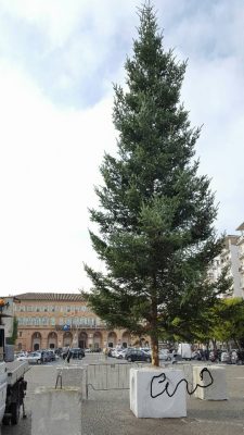 albero-natale