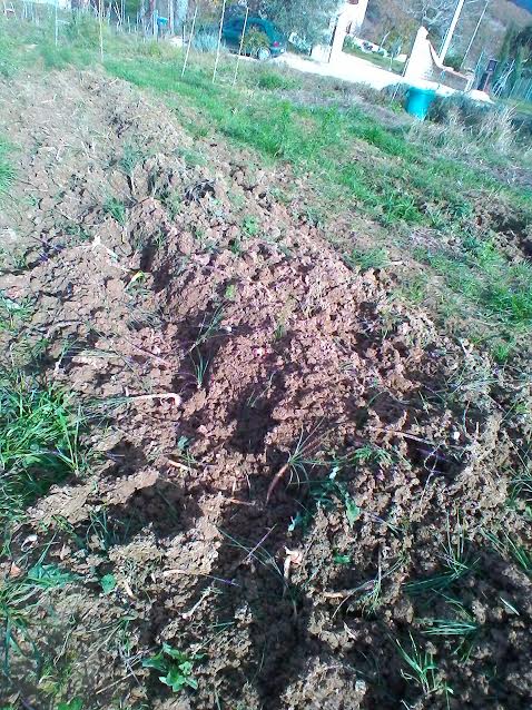 Il terreno danneggiato
