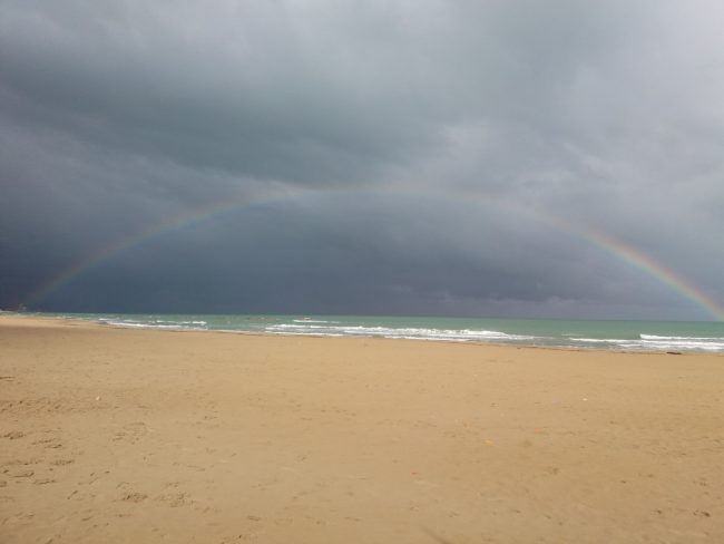 foto-paccapelo