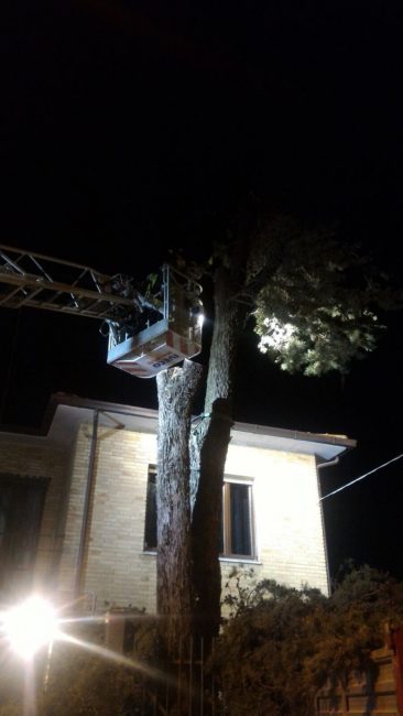 pollenza-albero-caserma