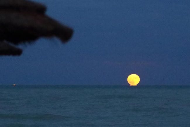 superluna-4