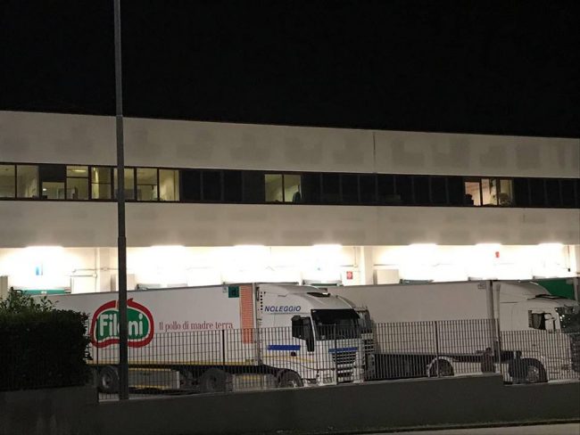 L'azienda Fileni