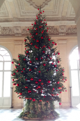 abete quirinale 2016