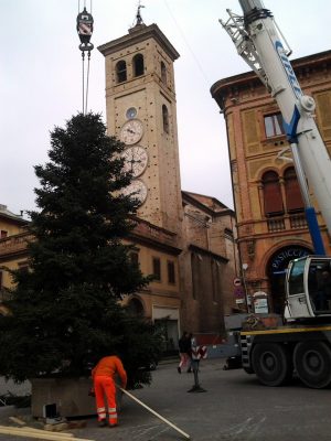 Il posizionamento dell'albero di Natale in piazza della Libertà