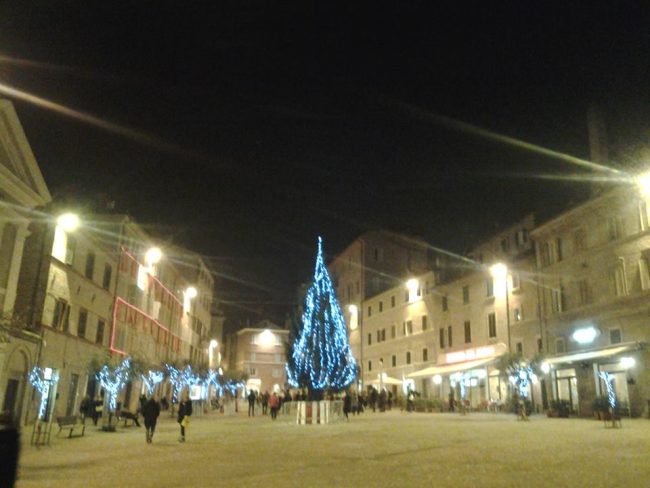 albero-piazza-mazzini