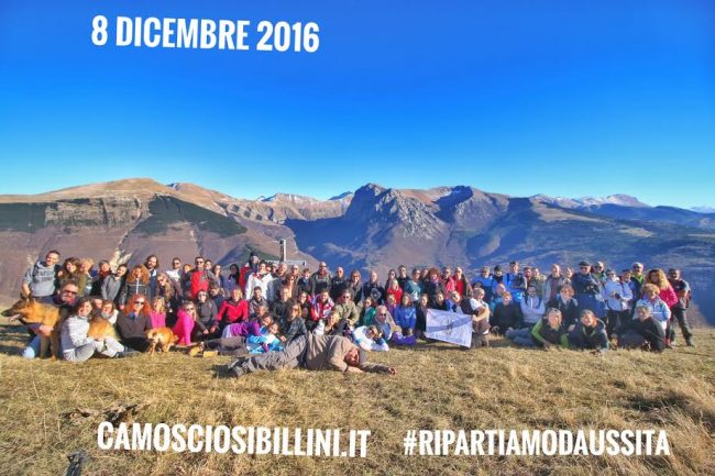camoscio-sibillini-2