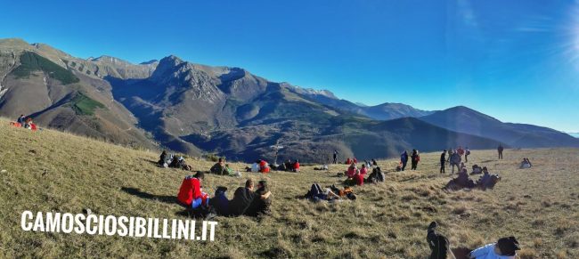 camoscio-sibillini-5