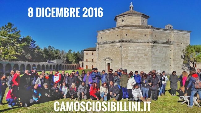 camoscio-sibillini