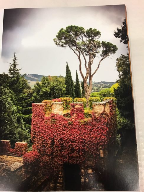 castello-pallotta-1-4-488x650