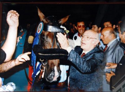 cavallo-campione