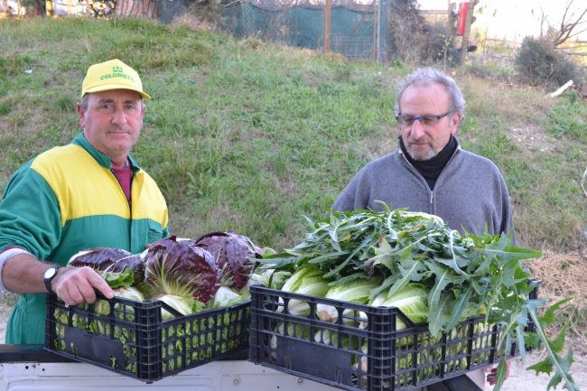 coldiretti-fiastra-verdure-4
