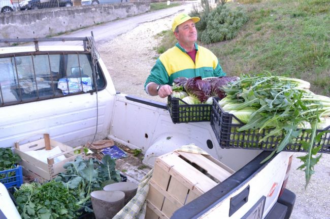 coldiretti-fiastra-verdure