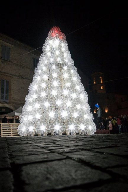 monte san giusto albero foto-di-lorenzo-polimanti