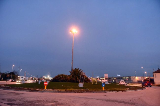 rotatoria-mucche-zona-industriale-civitanova-2