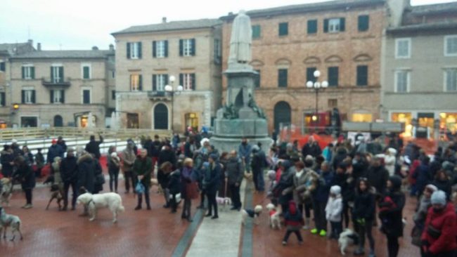 benedizione-animali-recanati-1-650x366