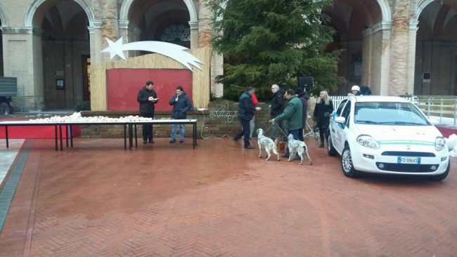 benedizione-animali-recanati-3-650x366