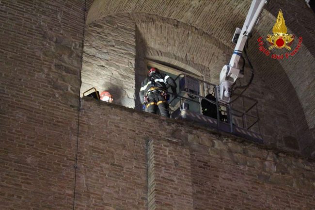 camerino-musei-vdf-8-650x433