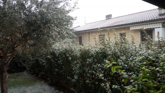 colmurano-neve-150117-650x365
