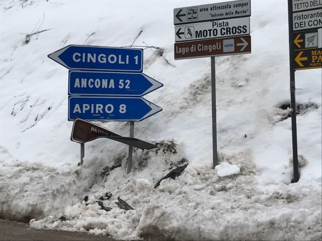 incidente-cingoli-26-1-2-650x488