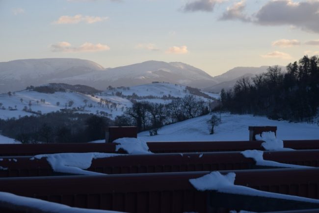 neve-camerino-foto-di-luciano-carletti-12-650x434