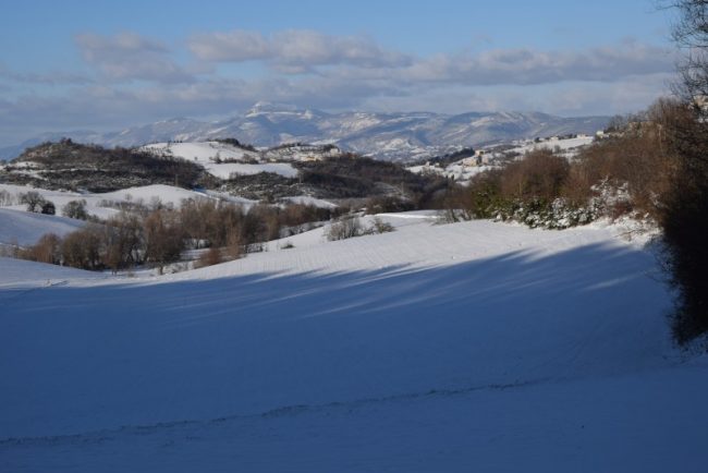 neve-camerino-foto-di-luciano-carletti-2-650x434