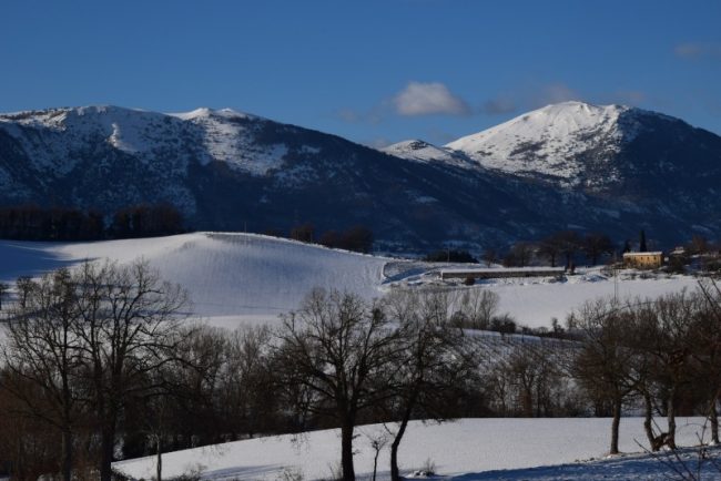 neve-camerino-foto-di-luciano-carletti-4-650x434