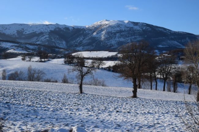 neve-camerino-foto-di-luciano-carletti-9-650x434