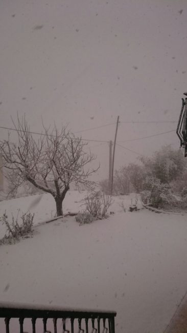 neve-gualdo1-150117-366x650