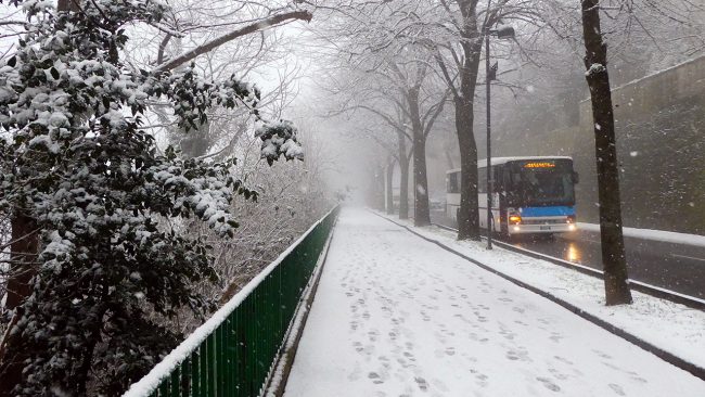 neve-macerata-gennaio-2017_Foto-LB-19-650x366