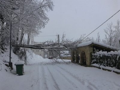 neve_caldarola-3-400x300