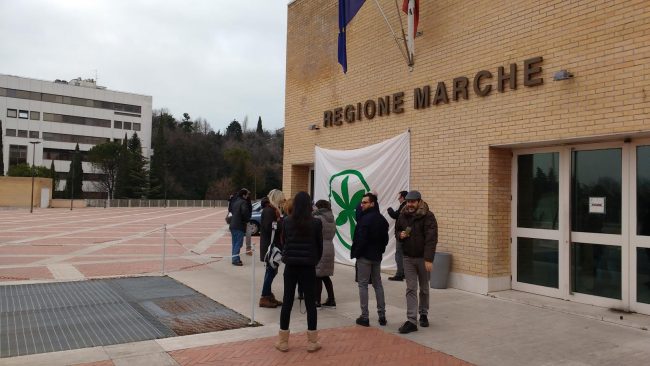 sacci-regione
