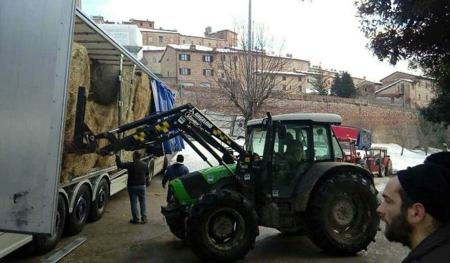 sarnano-11-650x380