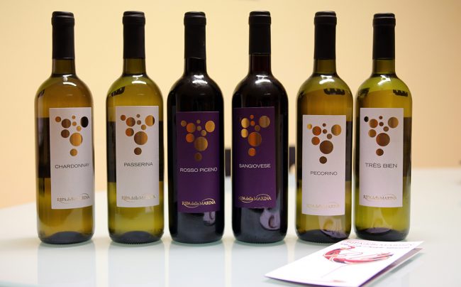 Vini-Ripa-della-Marina_foto-lB-1-650x404